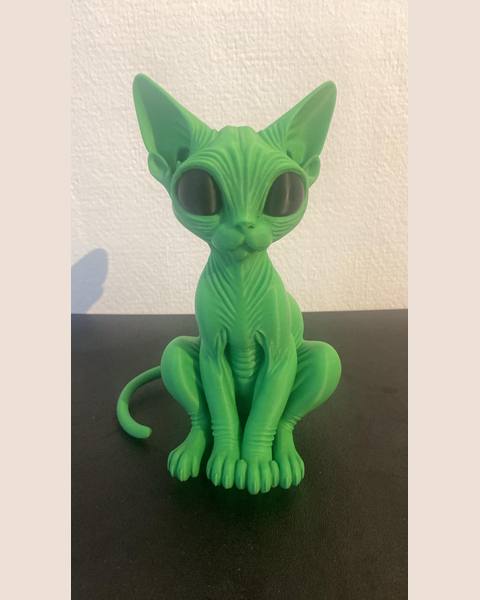 Chat sphynx alien
