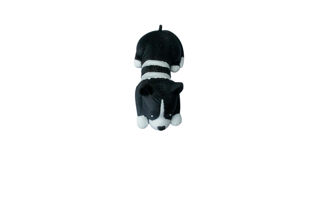 Chien