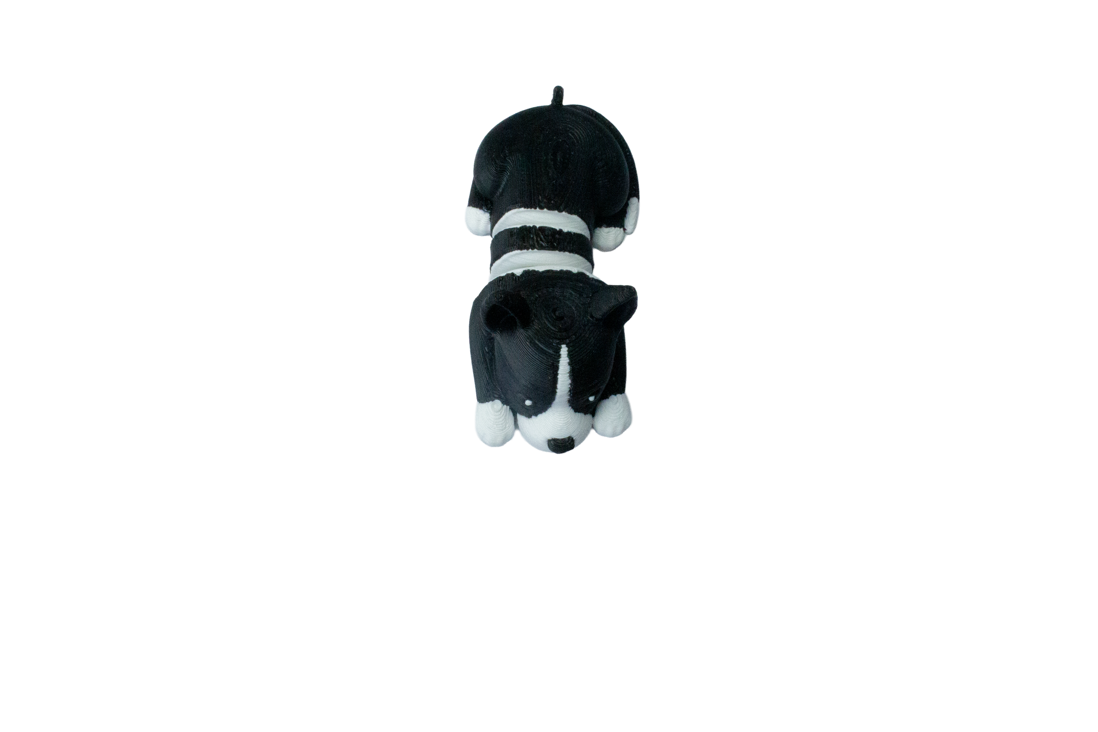 Chien