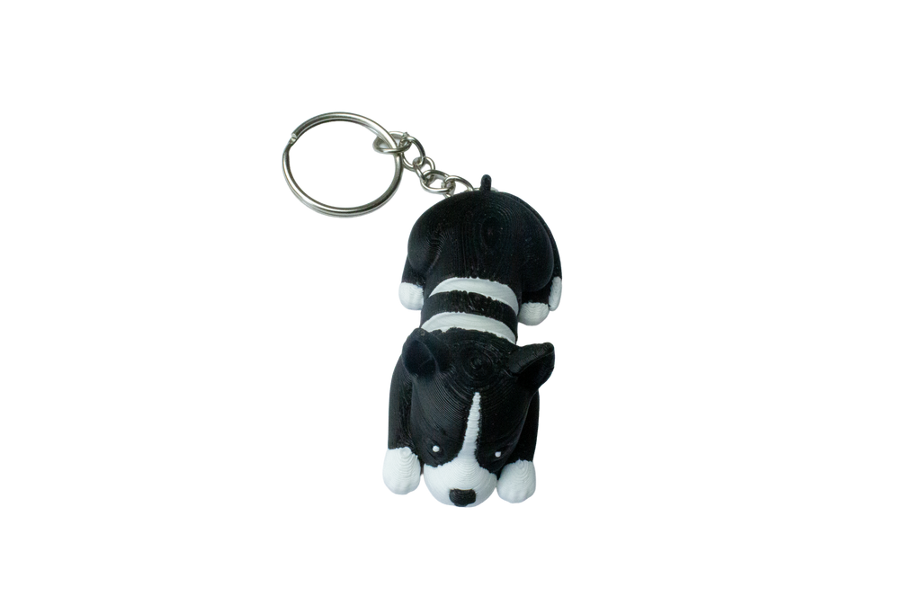 Chien