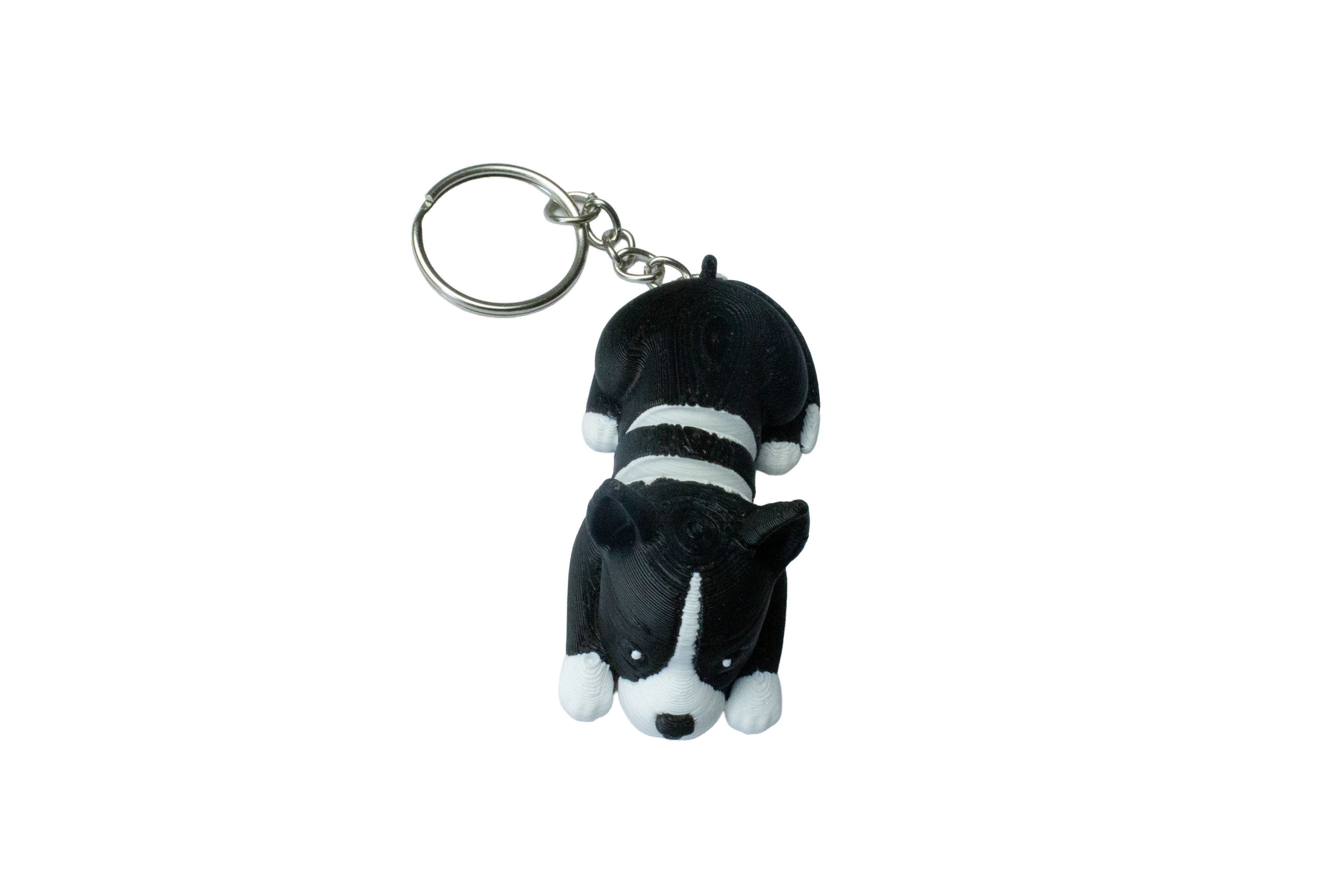 Chien