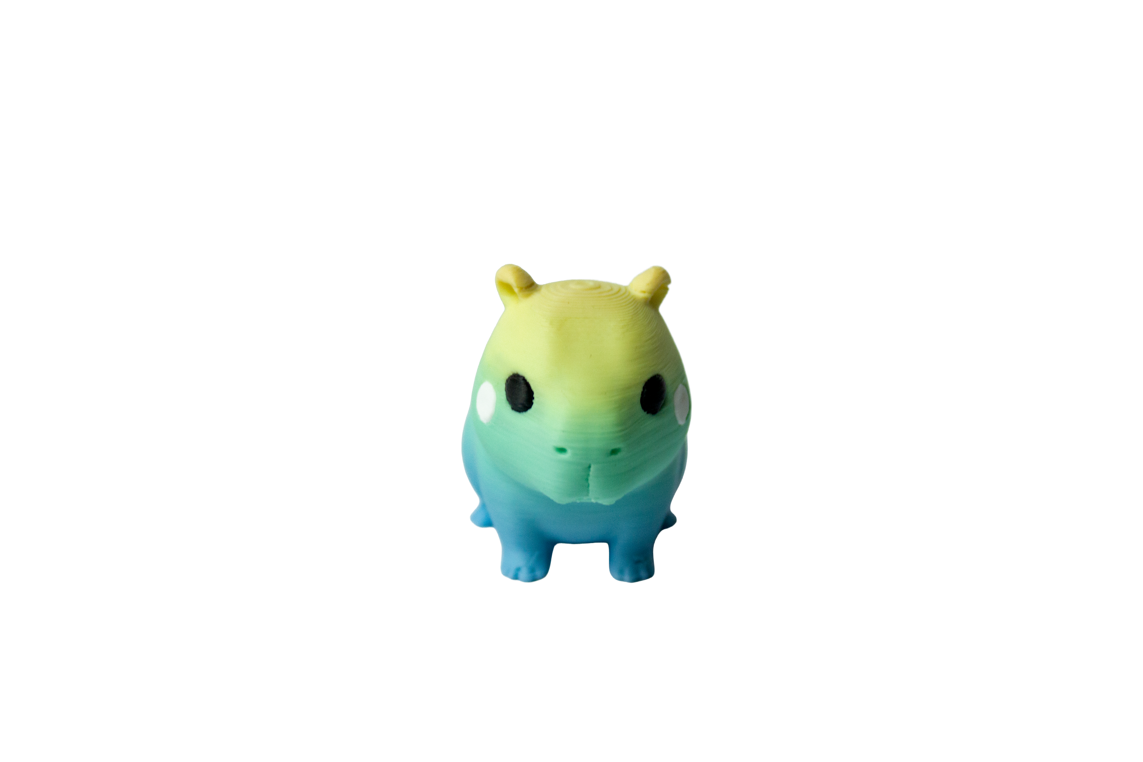 Capybara