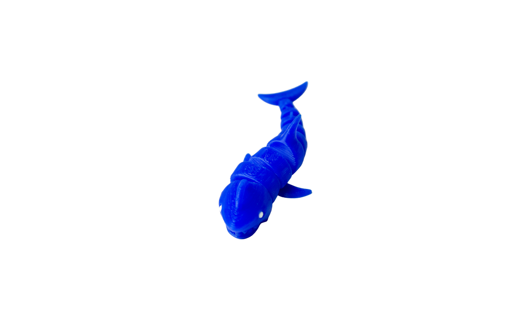 Requin