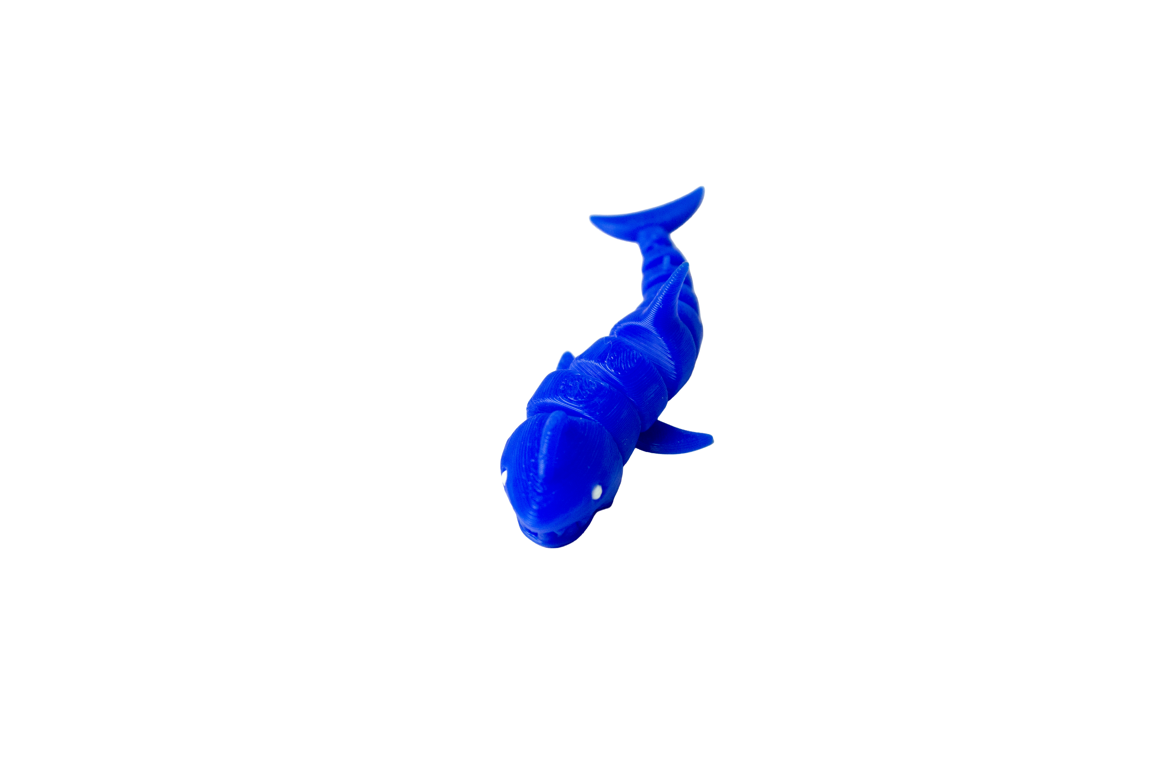 Requin
