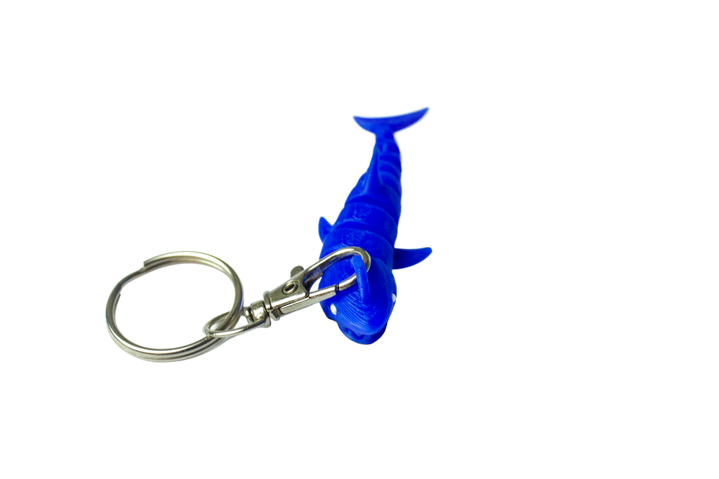 Requin