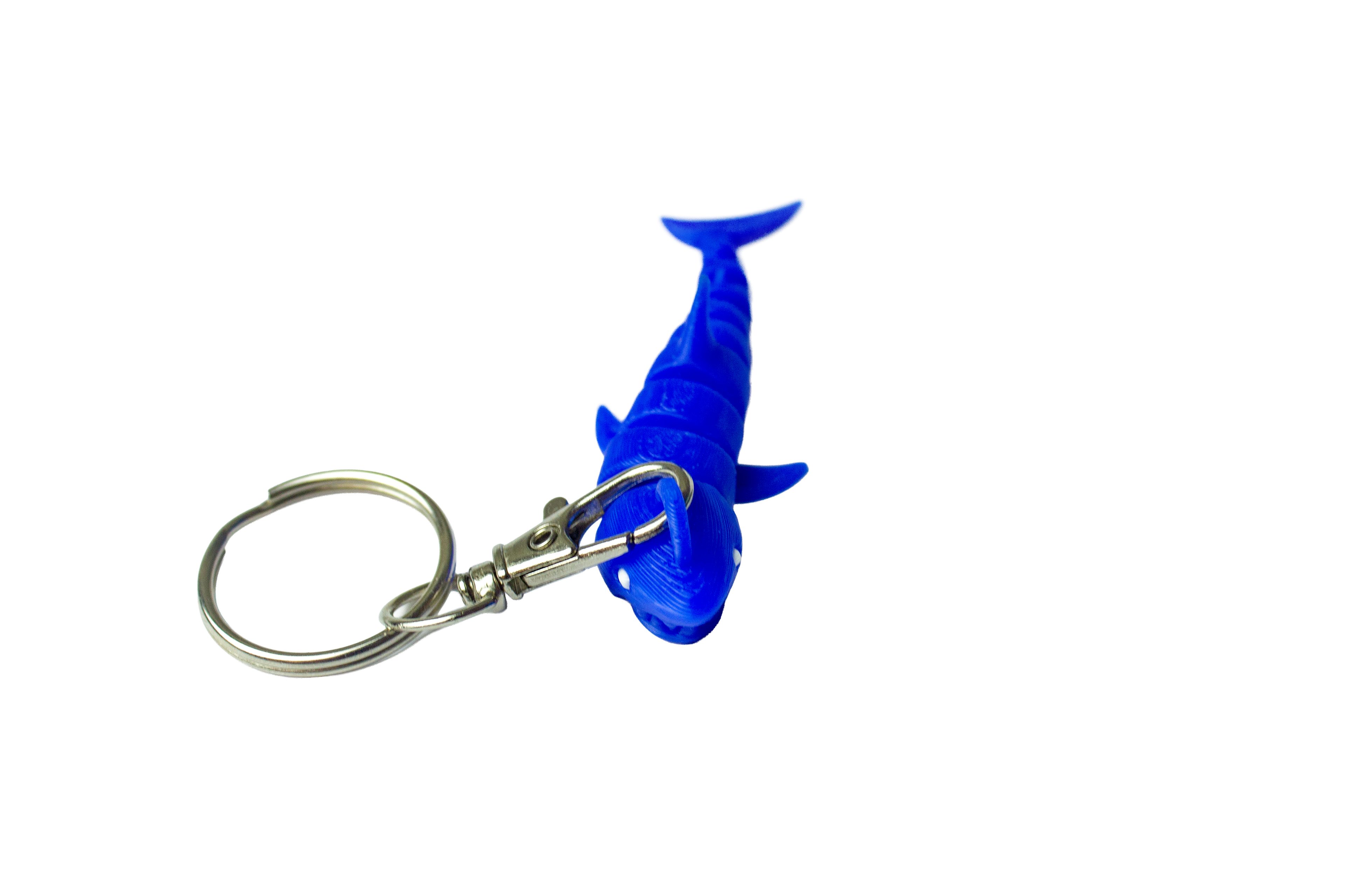 Requin