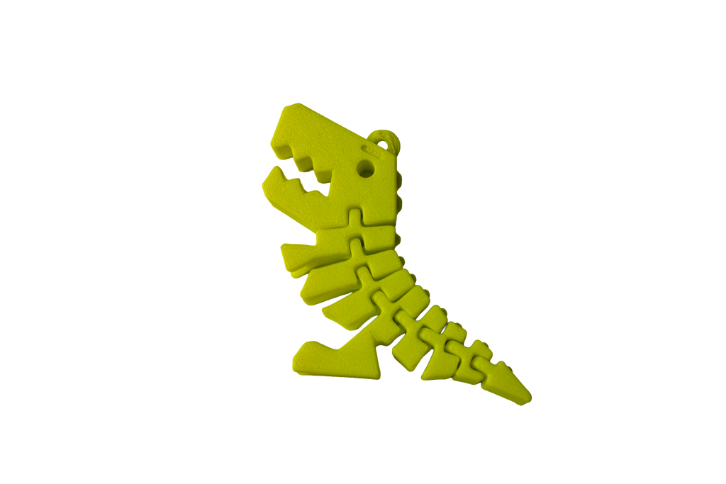 Squelette Rex