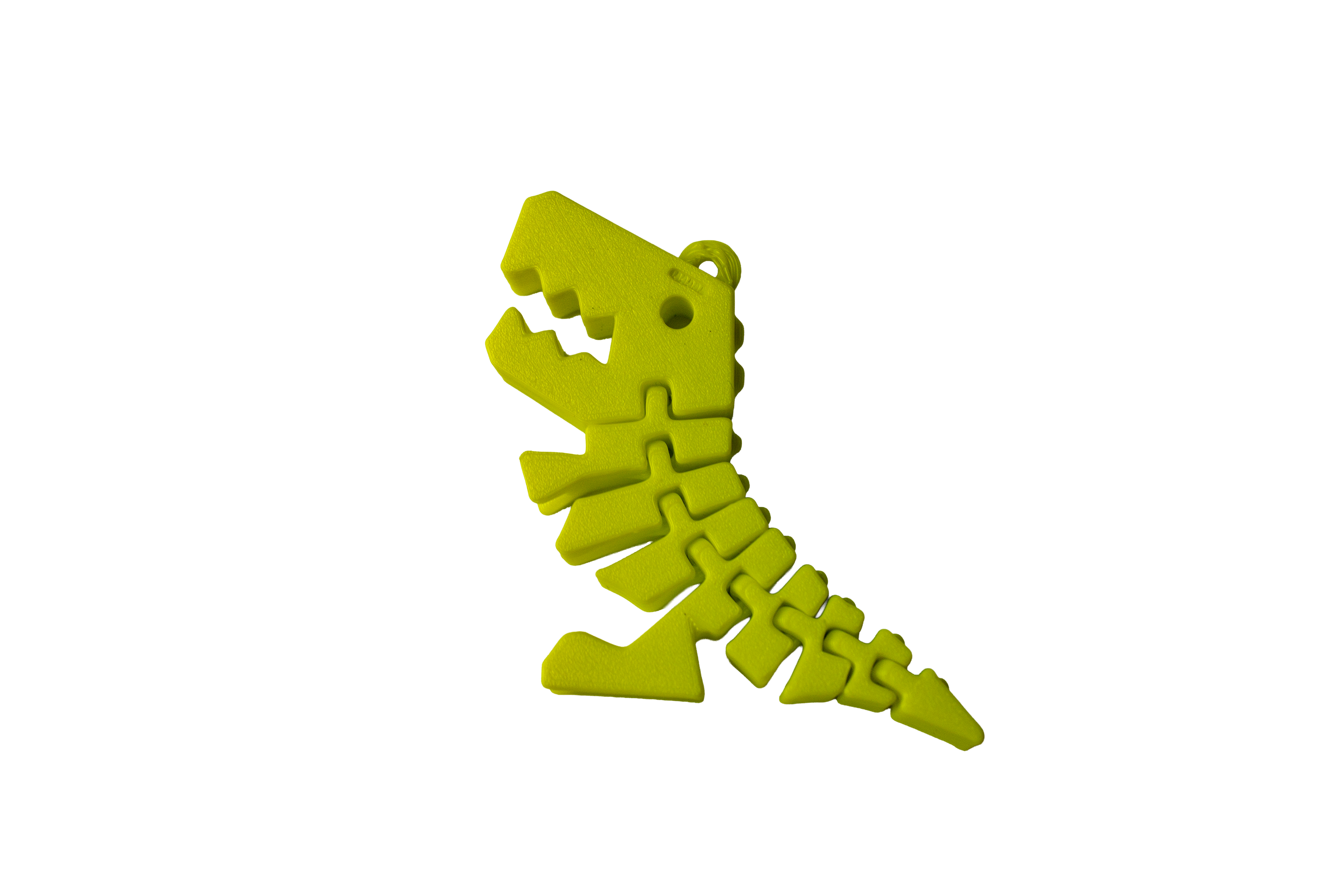 Squelette Rex