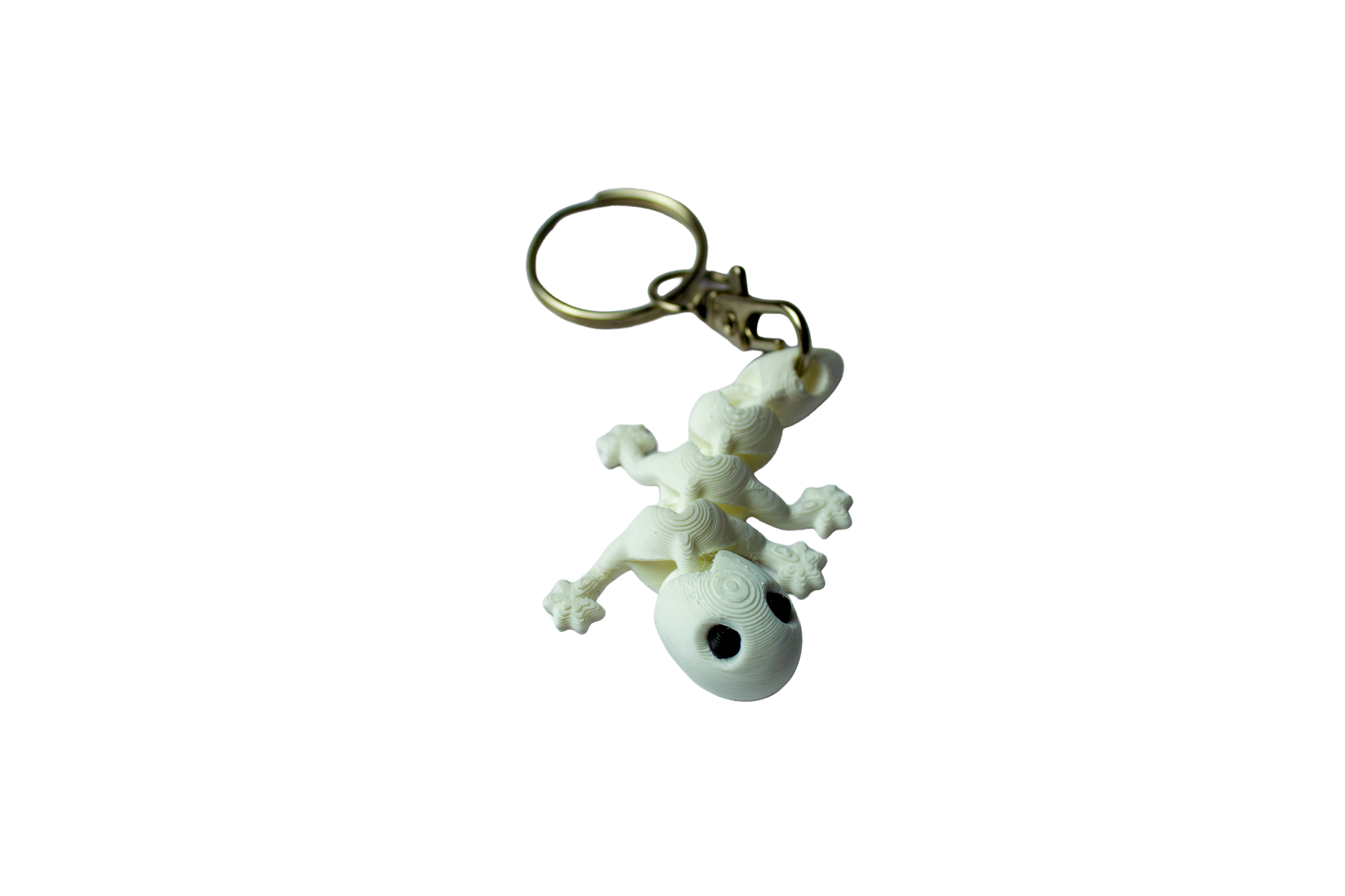 Lézard Flexible