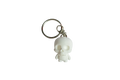 Mini Skeleton